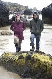 En arrivant dans sa chambre, qu'est-ce que Bella a dans la main ?