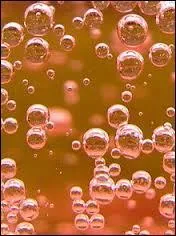 Le fameux vin de l't, c'est le vin ros,  boire frais et en extrieur si possible. Mais il existe aussi un Champagne ros, dont on obtient la jolie couleur de quelle faon ?