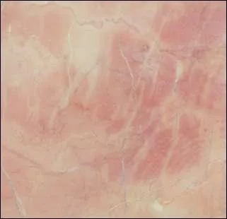 Voici du marbre (du grec marmaros, pierre resplendissante) rose. Cette teinte est-elle naturelle ou obtenue par des pigments ?