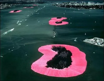 Quels artistes internationaux ont ralis cette oeuvre gante rose, sorte d'immenses nnuphars roses poss dans la baie de Biscayne  Miami (40 tonnes de dchets ont t retirs de ces les, aux frais des artistes, avant l'installation du projet) ?