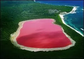 Voici un tonnant lac des plus roses, le lac Hellier, situ en Australie. Pour quelle raison a-t-il cette couleur, et cette eau qui est rose et non transparente quand on la puise ?