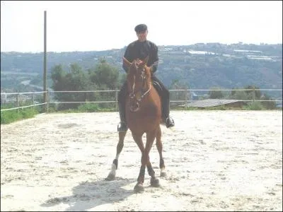 Comment s'appelle cette figure ?