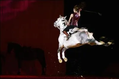 Comment s'appelle celle-ci ?