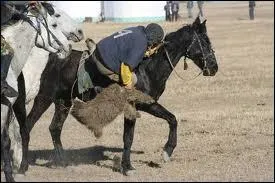 Quel est ce sport questre ?