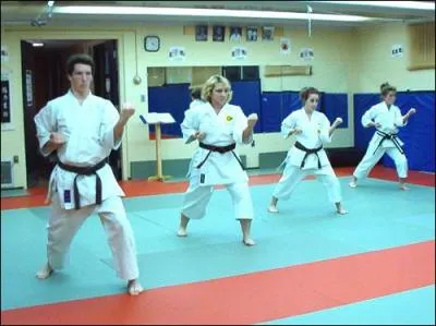 Quel est ce sport de combat ?