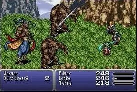 Dernier opus en 2D de la saga, c'est l'un des Final Fantasy prfrs des joueurs.