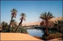 Choisissez la bonne orthographe.