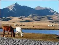 Choisissez la bonne orthographe.