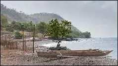 Choisissez la bonne orthographe.