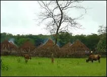 Choisissez la bonne orthographe.