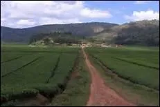 Choisissez la bonne orthographe.