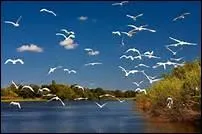 Choisissez la bonne orthographe.