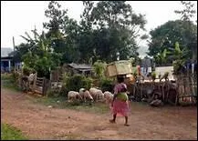 Choisissez la bonne orthographe.