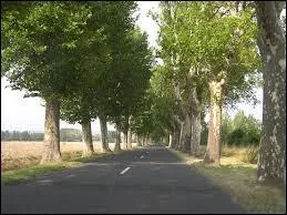 Sur les routes de France, une voiture doit rouler ... ..... de celles-ci.