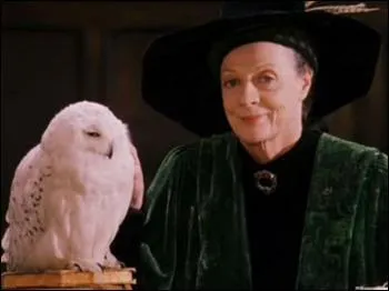 Quelle discipline Minerva McGonagall enseigne-t-elle ?