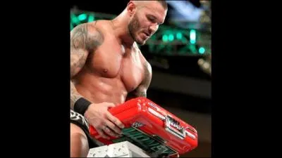 Les participants du Money In The Bank de Raw en 2013 ont taient : Rob Van Dam , Sheamus , Randy Orton , Daniel Bryan , CM Punk & Christian . Qui fut le vainqueur ?