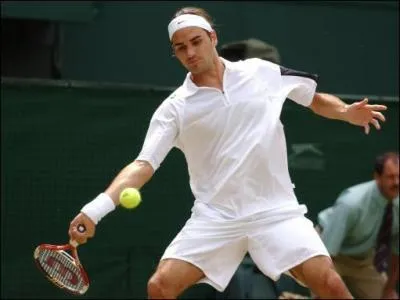 Comment appelle-t-on le classement des joueurs professionnels de tennis ?