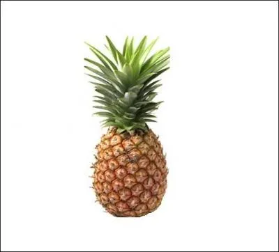 Comment dit-on Ananas en Anglais ?