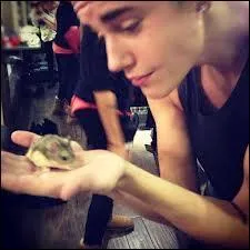Justin avait un hamster comment s'appelait-il ?