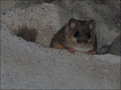 Ca vous arrive aprs un dur labeur !