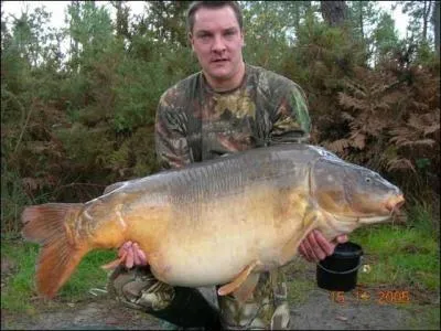 Je vous en prie, jouez ce quiz, et plus un mot, soyez ...