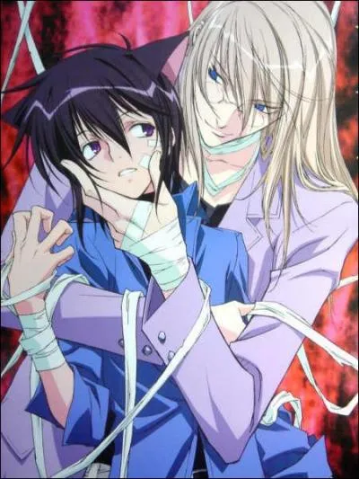 A quelle s�rie appartient cette image ?