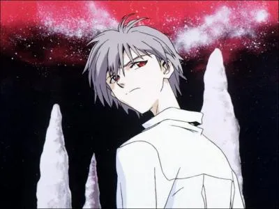 A quelle s�rie appartient cette image ?