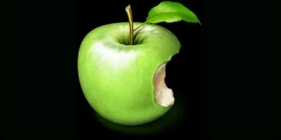 Le verbe "commencer" est le contraire de "finir".