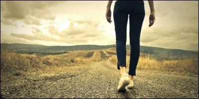 Le contraire du verbe "avancer" c'est "accélérer".