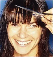 Quelle est cette coiffure ?