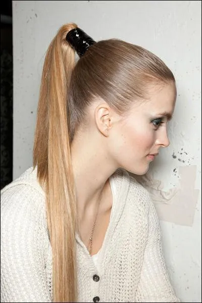 Quelle est cette coiffure ?