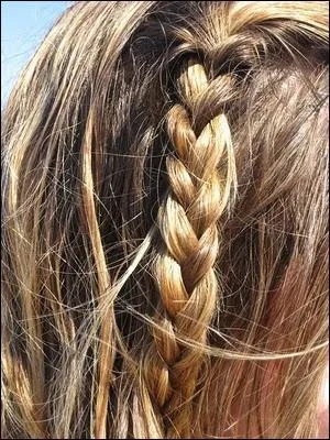 Quelle est cette coiffure ?