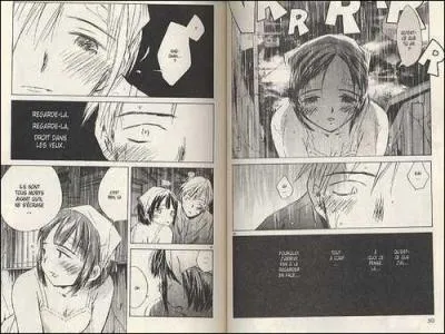 A quel manga appartient cette planche ?