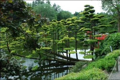 O pouvez-vous voir le plus grand jardin oriental d'Europe ?