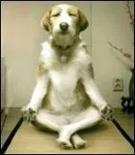 Mais bien sr que j'y  croix  ! Jsus de Nazareth a-t-il exist ?