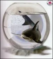 N'ayez pas peur, les requins sont nos amis, surtout miniaturiss ! En ralit, le monstre du loch Ness est (la majorit des scientifiques pensent que cette thorie est la bonne) :