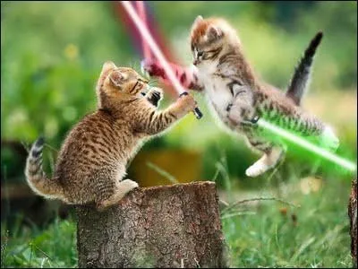 J'ai vu la lumire ! Absolument rien ne va plus vite que la lumire :