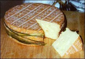 Qu'est-ce que ce fromage ?