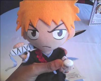 Je suis un Shinigami, ainsi que le hros de Bleach. Qui suis-je ?