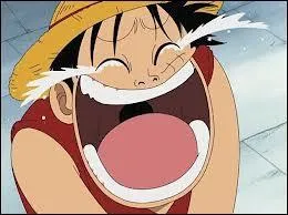 Avec qui Luffy s'entend-il bien lors de la comptition ?