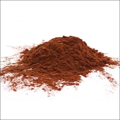 De quel mot vient le mot  cacao  ?