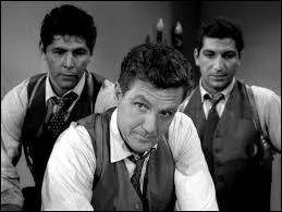 Cre dans les annes 60, cette srie en noir et blanc, avec une voix  off , mettant en vedette des agents fdraux du Trsor amricain aura un succs considrable aux USA et hors des frontires. Titre  Les incorruptibles  (en VO, The untouchables ), quel agent met-elle sur le devant de la scne, que joue Robert Stack ?