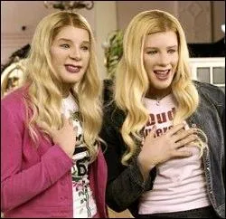 Cette  grosse  comdie, qui met en vedette deux des frres Wayans en agents du FBI sous couverture, porte dj tout son devenir dans son titre  FBI, fausses blondes infiltres  (White chicks en VO, Drles de blondes au Qubec). Quel  effet  est cens donner du sel  ce film outre le travestissement ?