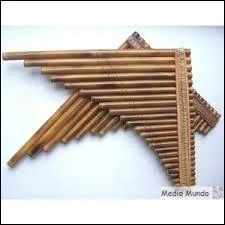 Ces tubes ne manquent pas d'air, car ce sont des tubes qui savent se faire entendre. a pourrait tre un tube de Marc Lavoine avec ses yeux revolver, mais a fait juste pan,  l'image de la flte... la flte de Pan. Dieu grec, Pan cra sa flte, issue de tubes agrables  l'oreille. Protecteur des bergers et des troupeaux, il est galement charge d'un autre mission. De quoi Pan est-il le dieu ?