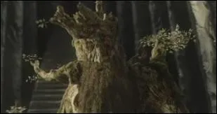 Pour quelle raison les Ents n'ont-ils plus d'enfants ?