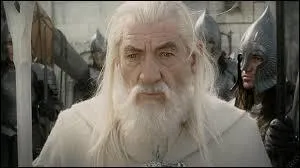 Gandalf est le dtenteur de :