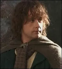 Que devient Peregrin Touque ?
