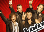 Quiz The voice : la finale 2013