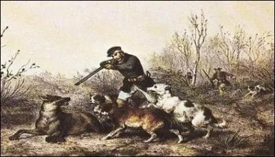 Qui a crit  La mort du loup  ?