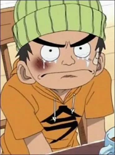 pisode 32 - De quel village (qui a t totalement dvast par les hommes-poissons et le monstre de la question suivante), vient le petit garon qui veut absolument se venger d'Arlong ?